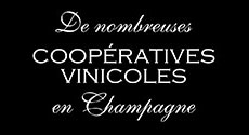 Coopératives Vinicoles